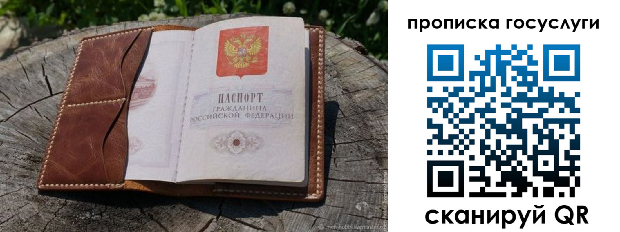 прописка для школы в Цимлянске
